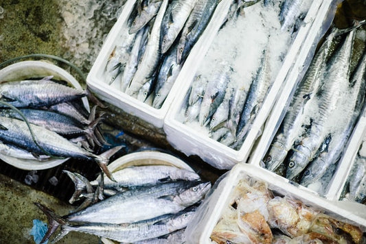 The Difference Between Fresh and Frozen Seafood