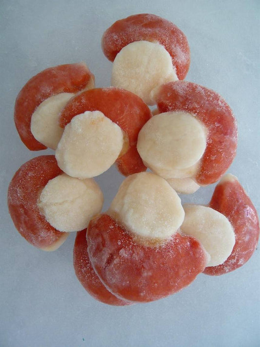 Scallops -Roe On (1kg)