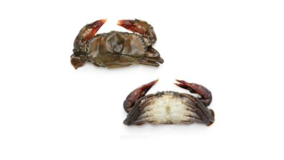 Soft Shell Crab Frozen