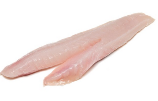 Gurnard Fillet