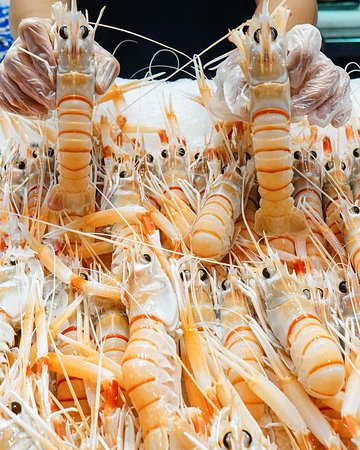 Australian Scampi